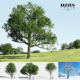 Military Male US Soldier Set 1